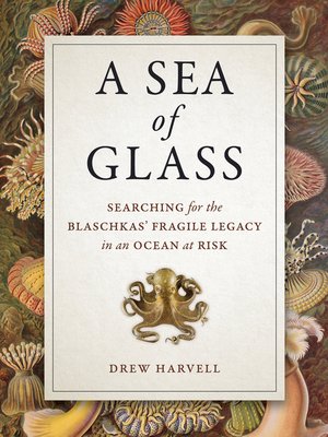 cover image of A Sea of Glass